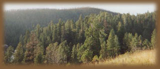 Mountain views